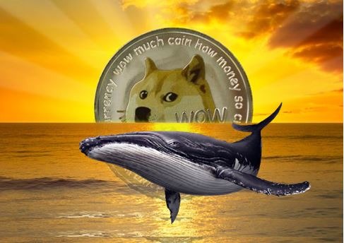 Dogecoin (DOGE): grande quantidade de moedas está sendo movimentada