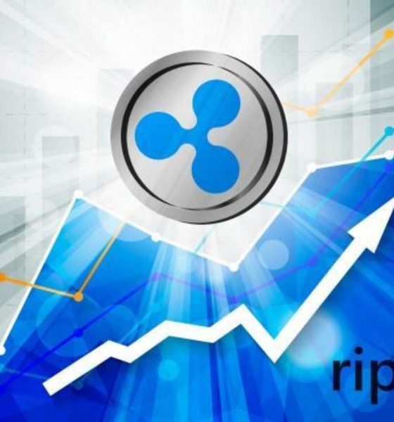 ripple main