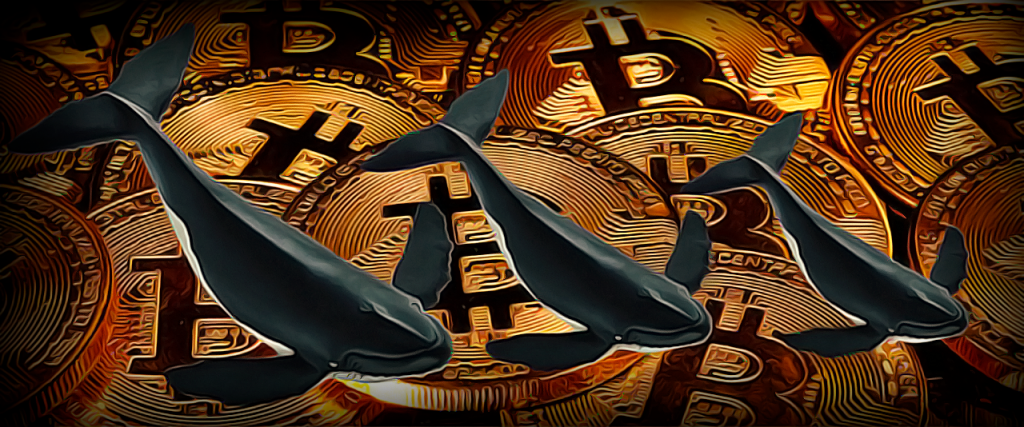 Tether já é uma das maiores detentoras mundiais de Bitcoin