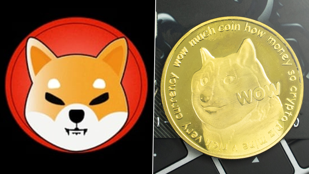 Dogecoin e Shiba Inu: Qual pode chegar a US$ 1?