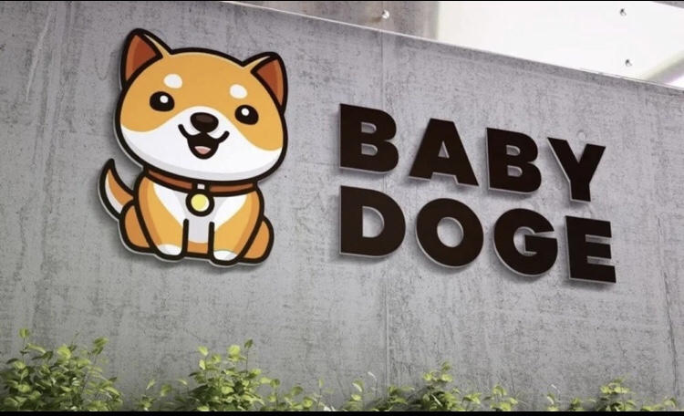 Baby Doge Coin será listada na Binance em 2022
