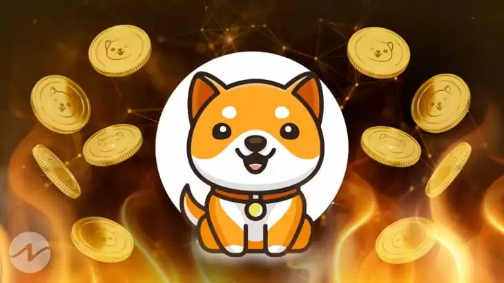 Baby Doge Coin planeja queimar 50 quatrilhões de tokens de uma só vez