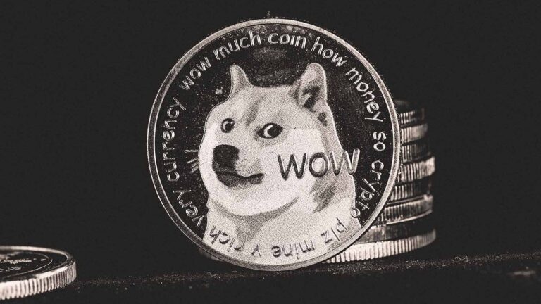 Doge coin
