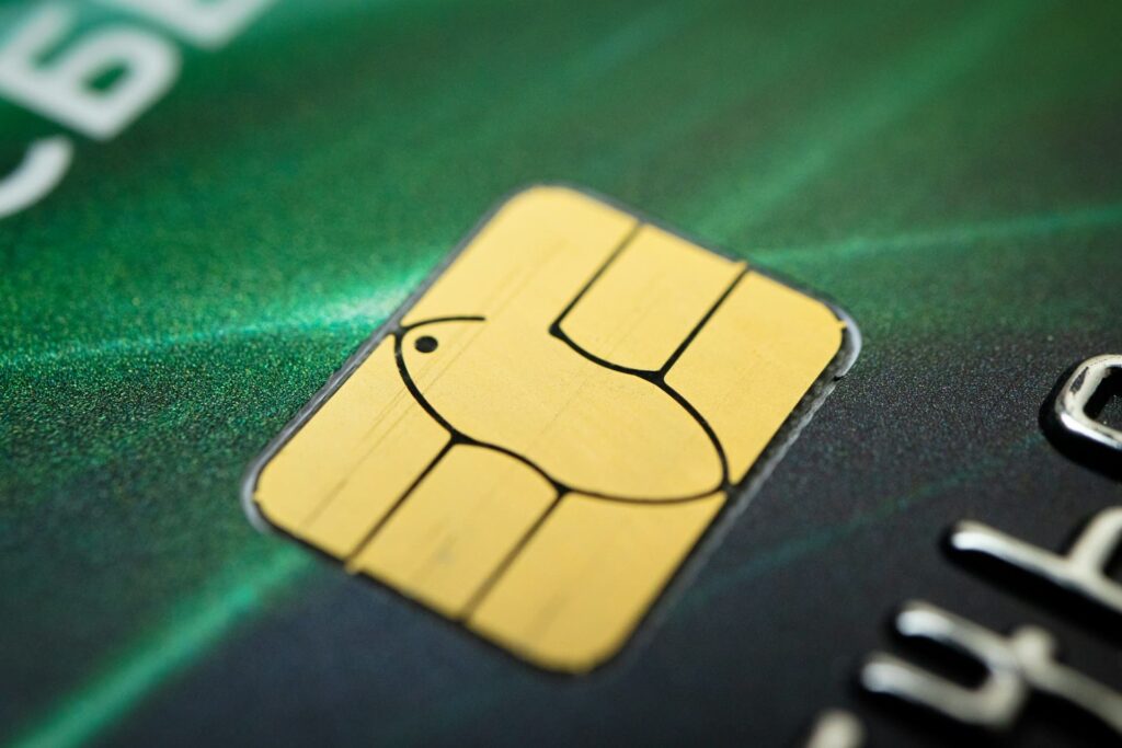 Cartão de crédito sem anuidade e sem consulta ao SPC e Serasa
