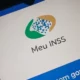inss