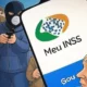 inss