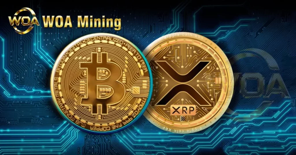 Ganhe US$ 9.000 diários com a WOA Mining, líder em mineração em nuvem 2025